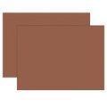 Pacon Tru-Ray® Construction Paper, Warm Brown, 18x24in, PK100 P103089